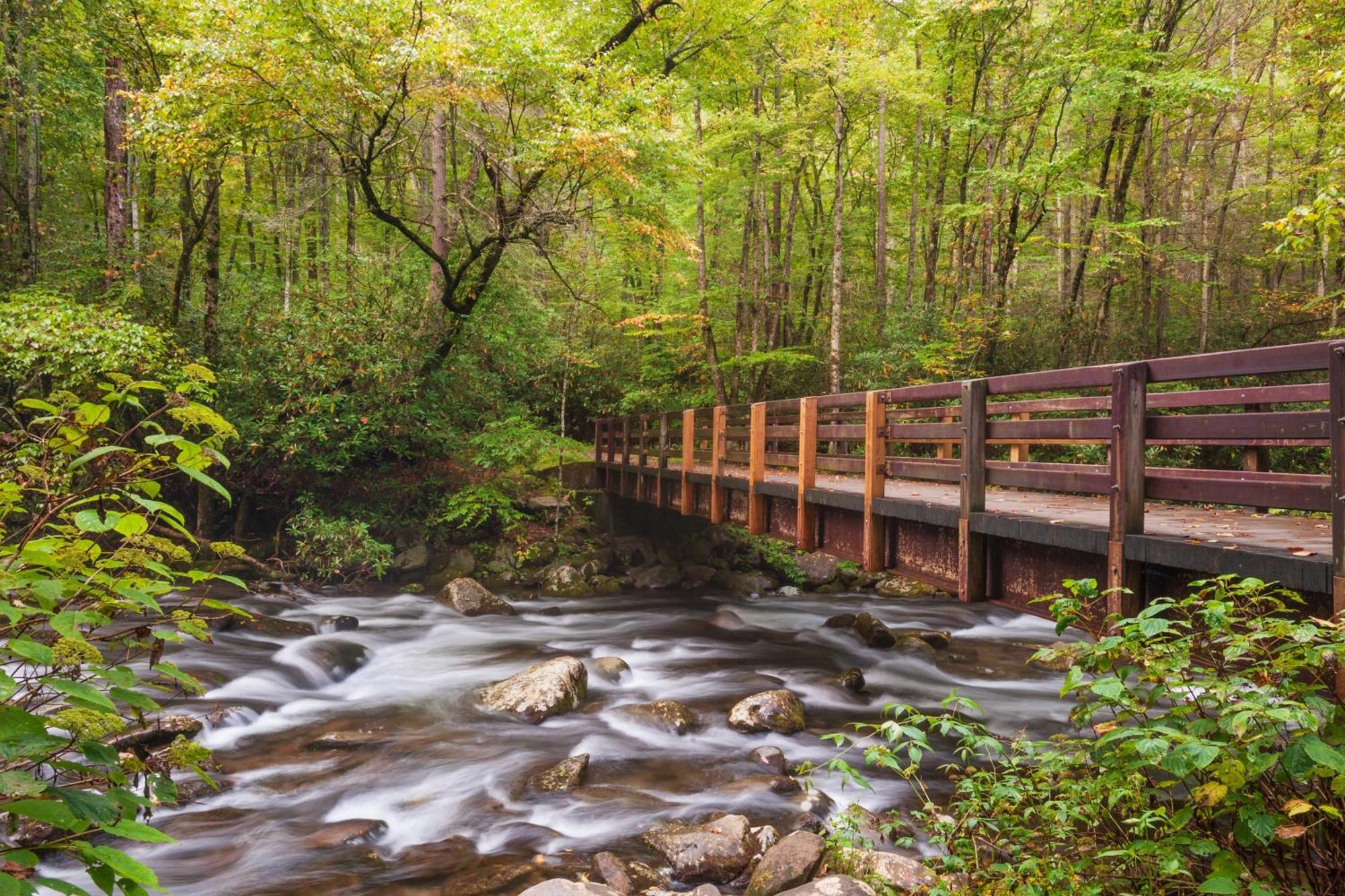 Forever Yours, Hot Tub, 1089 Of Free Attraction Tickets For Each Paid Day, Dollywood And More Pigeon Forge Exterior photo